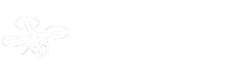 Yellowstone Droneworks